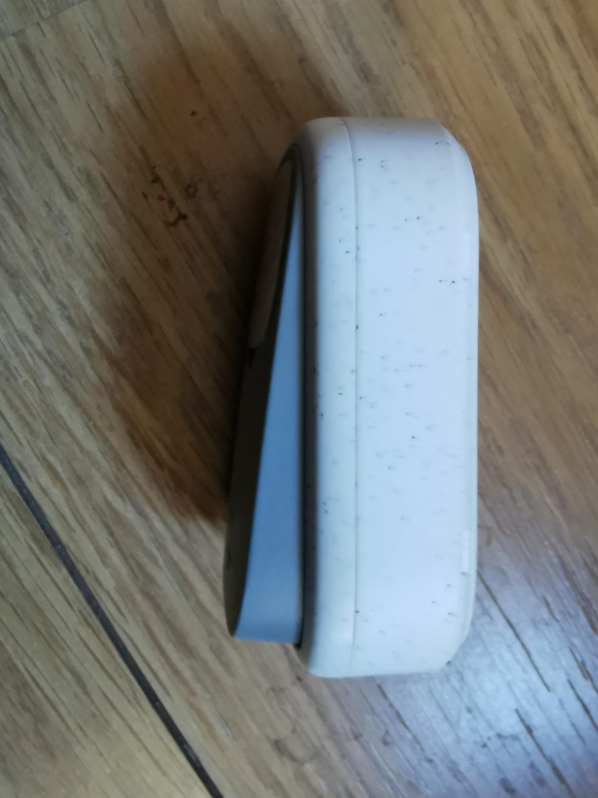 Ma mère l'a adopté